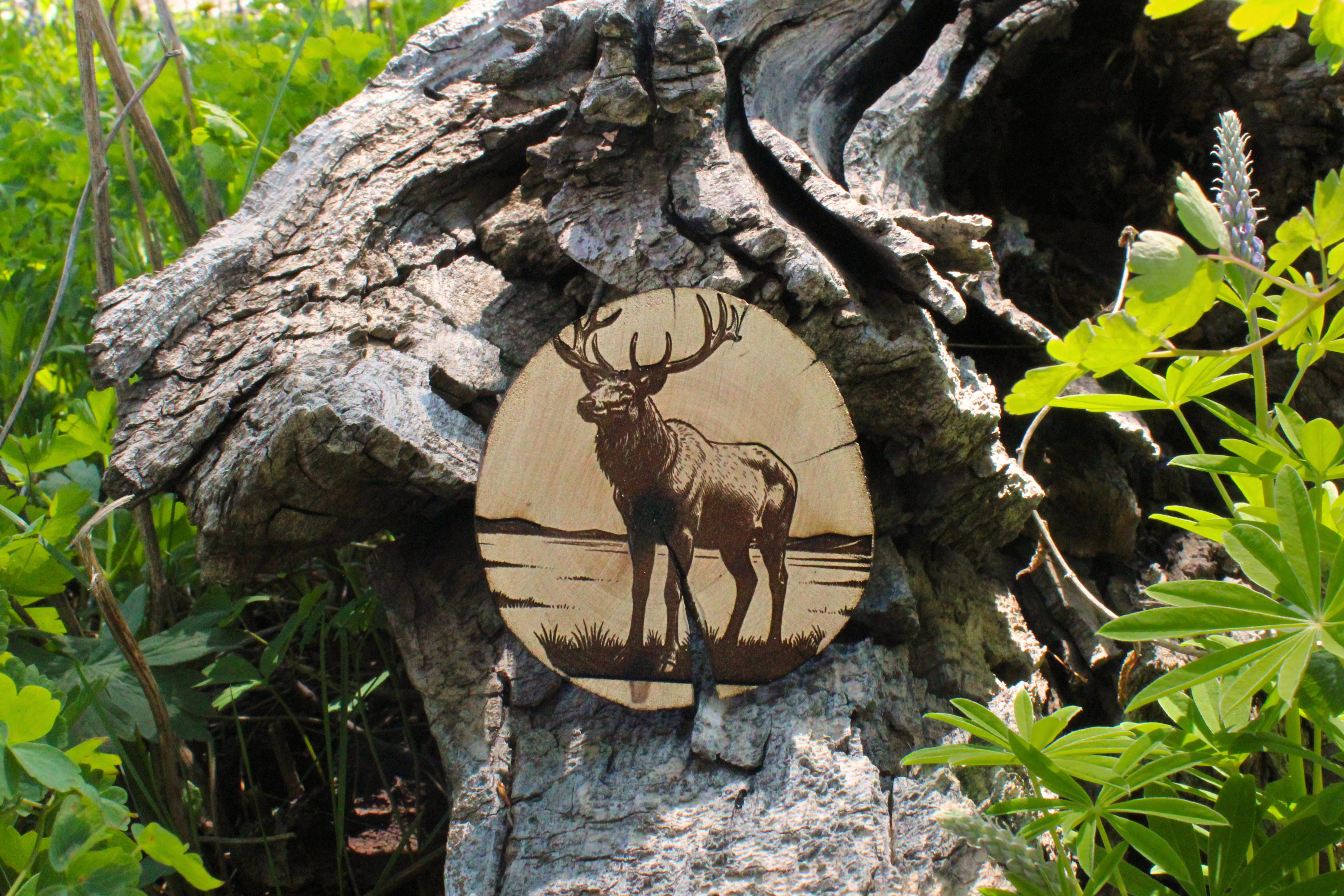 Live edge hand cut elk coaster